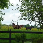 Au Mesnil Le Bas Bray Bed & Breakfast Bures-en-Bray