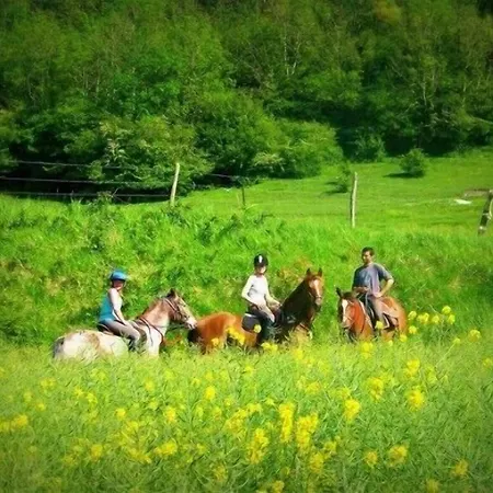 Au Mesnil Le Bas Bray 住宿加早餐酒店