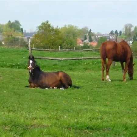 住宿加早餐酒店 Au Mesnil Le Bas Bray