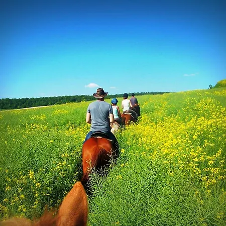 住宿加早餐酒店 Au Mesnil Le Bas Bray