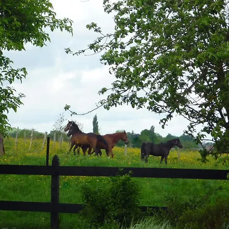 Au Mesnil Le Bas Bray 住宿加早餐酒店 Bures-en-Bray